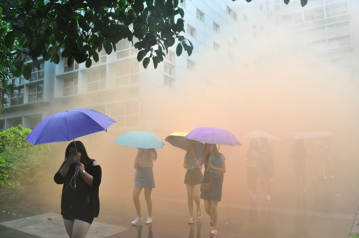 DSC_0295.jpg DSC_0295.jpg