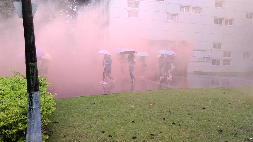 IMAG2291.jpg IMAG2291.jpg