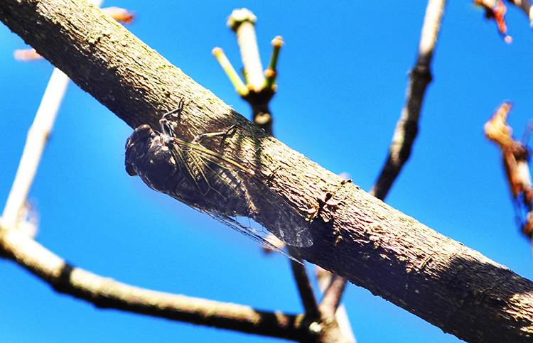 DSC_0415.jpg DSC_0415.jpg