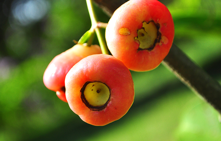 DSC_0418.jpg DSC_0418.jpg