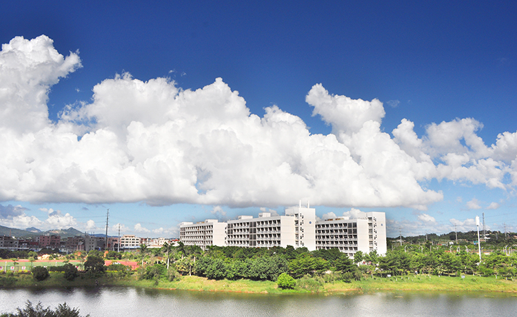 DSC_0420.jpg DSC_0420.jpg